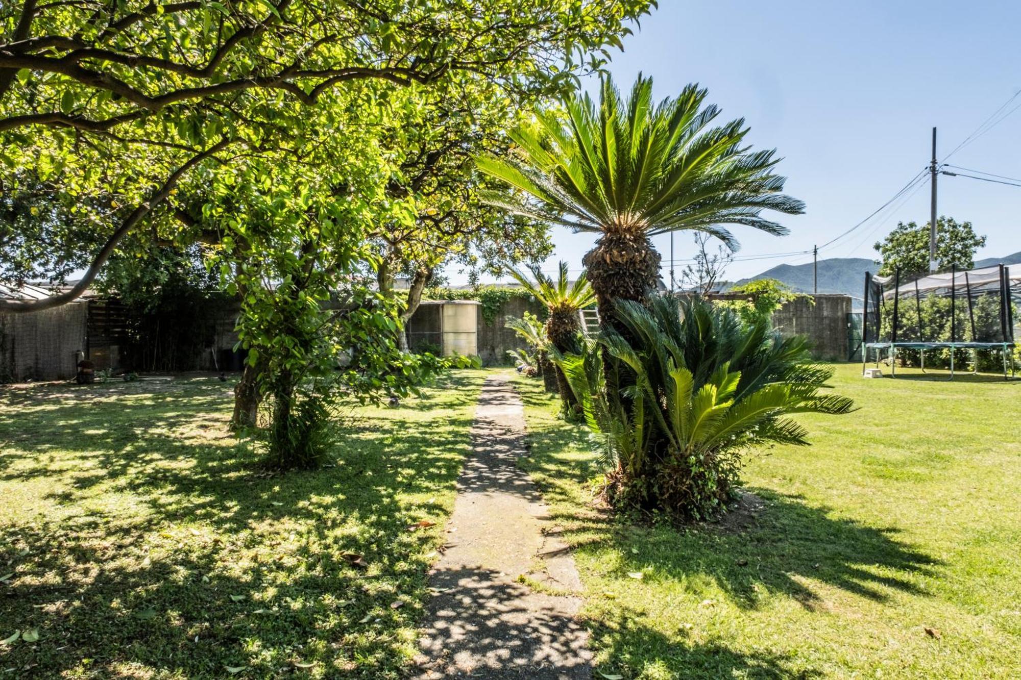 Agriturismo Giorgi Appartamenti In Riviera Ligure Albenga Exterior foto