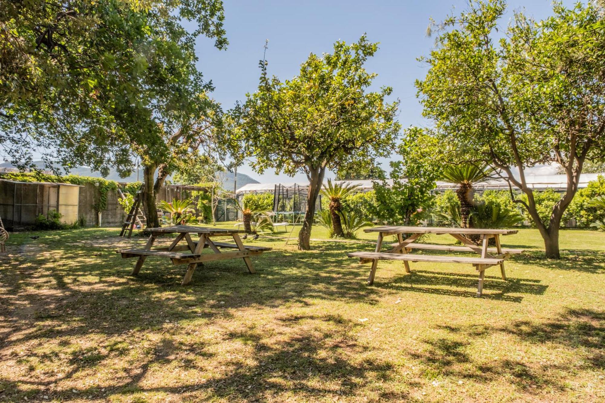 Agriturismo Giorgi Appartamenti In Riviera Ligure Albenga Exterior foto